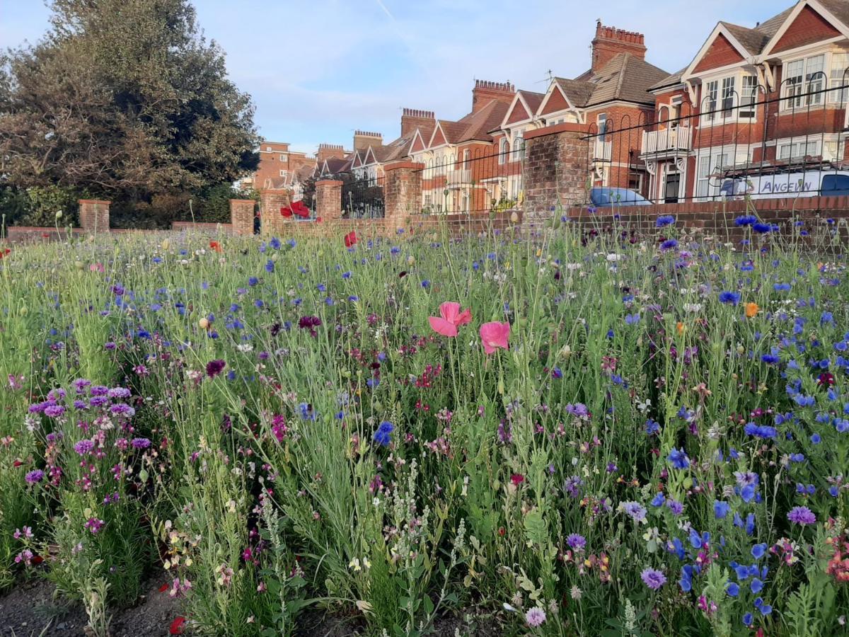 Bed and Breakfast Coastal Chic Bexhill-on-Sea Exteriér fotografie